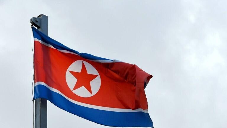DPRK Foreign Ministry Official Issues Press  State